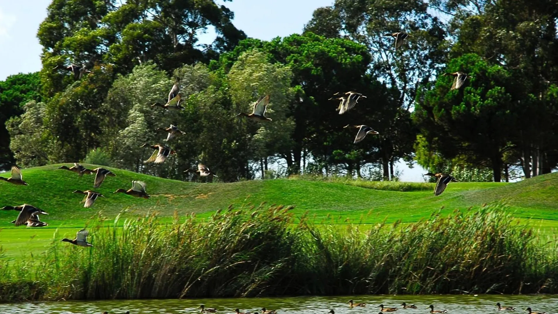 Апартаменты Emporda Golf 28 2-1 Gualta 0*,  Испания